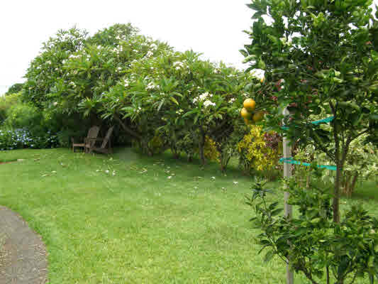4918 Pelehu Road, Unit 1 Kapaa, HI 96746 - Photo 10 of 12 Gallery Image 10