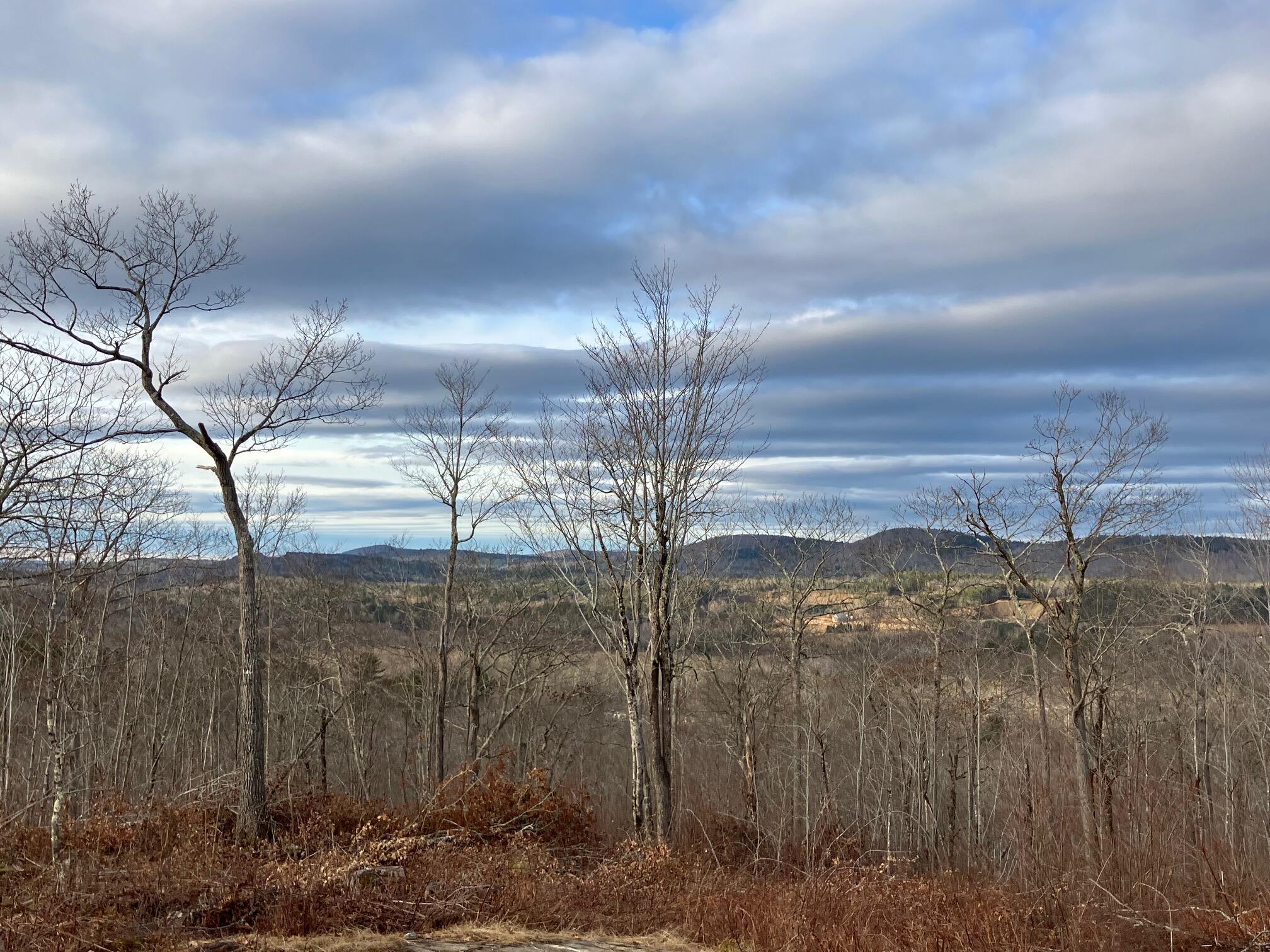 0 Chandler Road Monroe, ME 04951 - Photo 3 of 8 IMG_0696