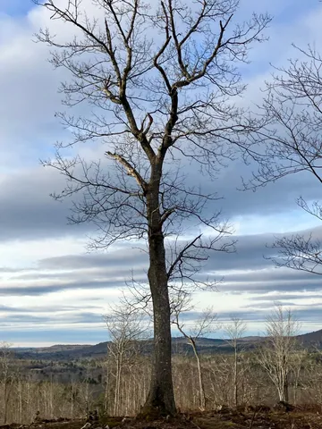 $199,000 | 0 Chandler Road, Monroe, ME 04951