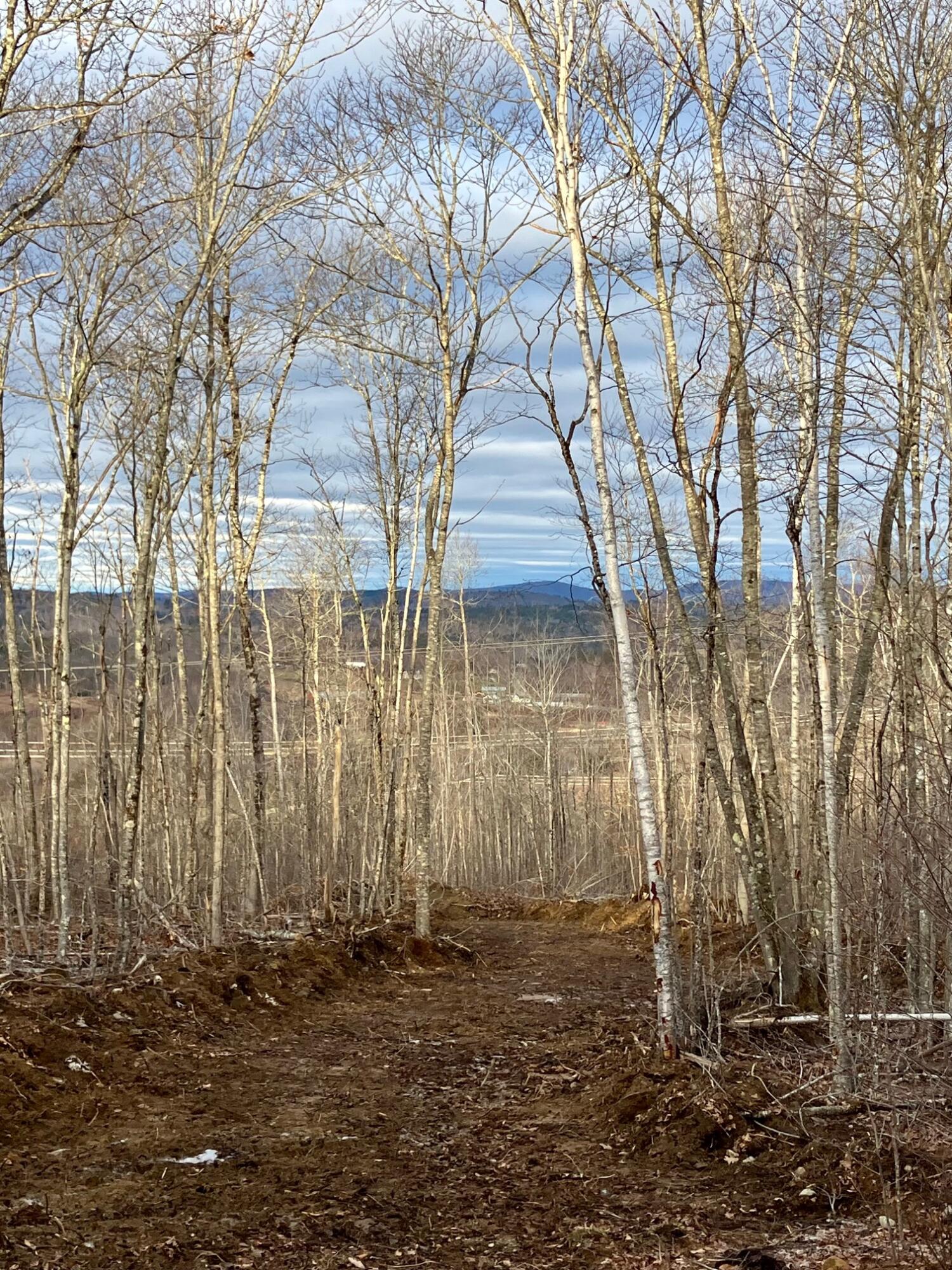 0 Chandler Road Monroe, ME 04951 - Photo 5 of 8 IMG_0706