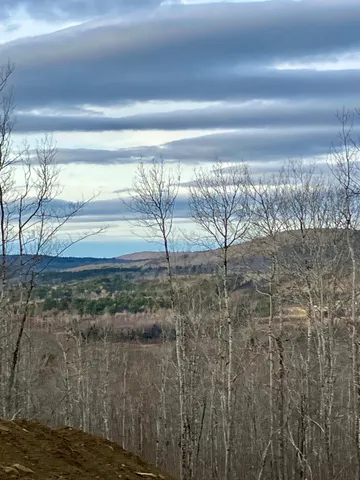 $199,000 | 0 Chandler Road, Monroe, ME 04951