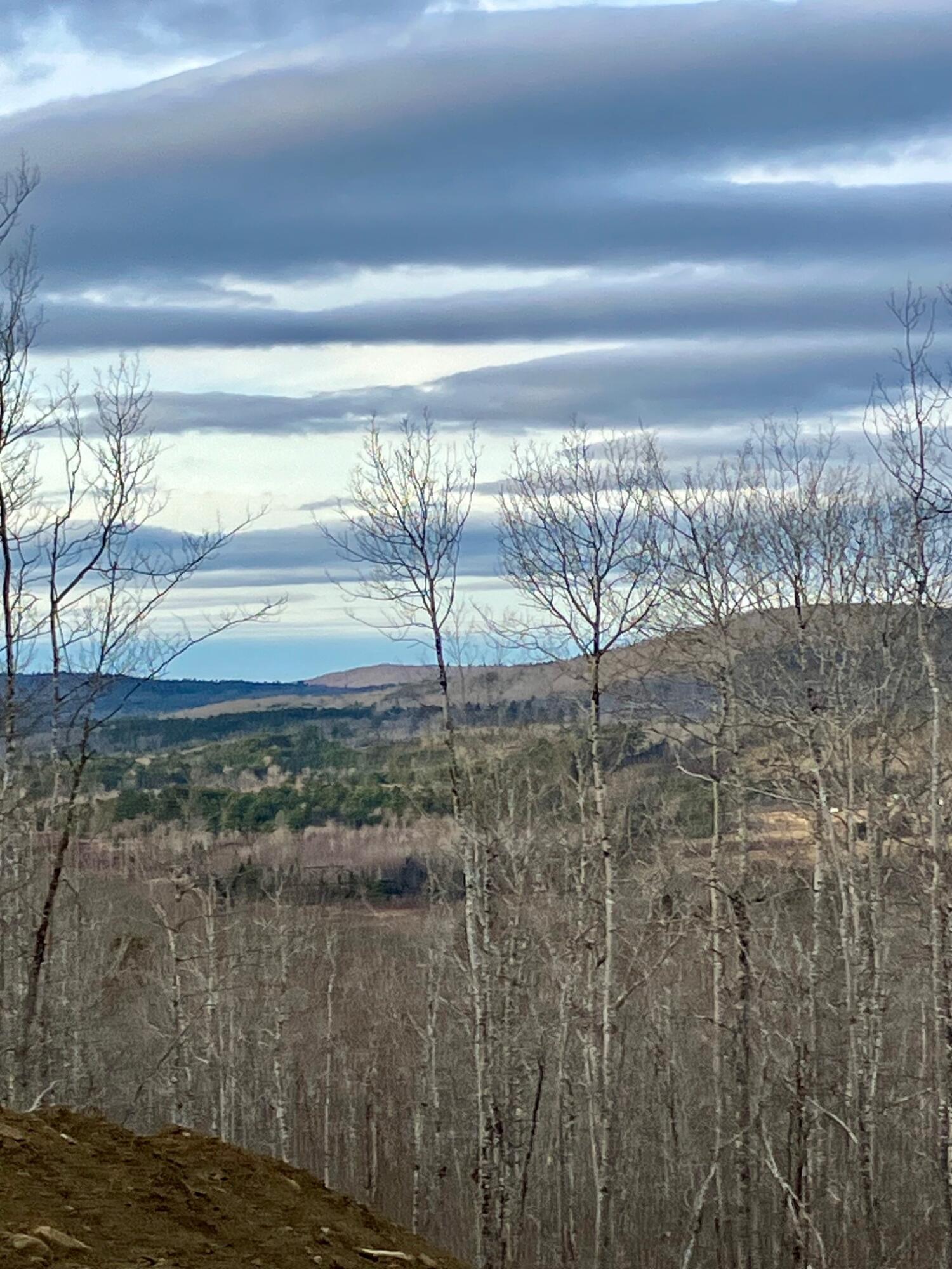 0 Chandler Road Monroe, ME 04951 - Photo 6 of 8 IMG_0710