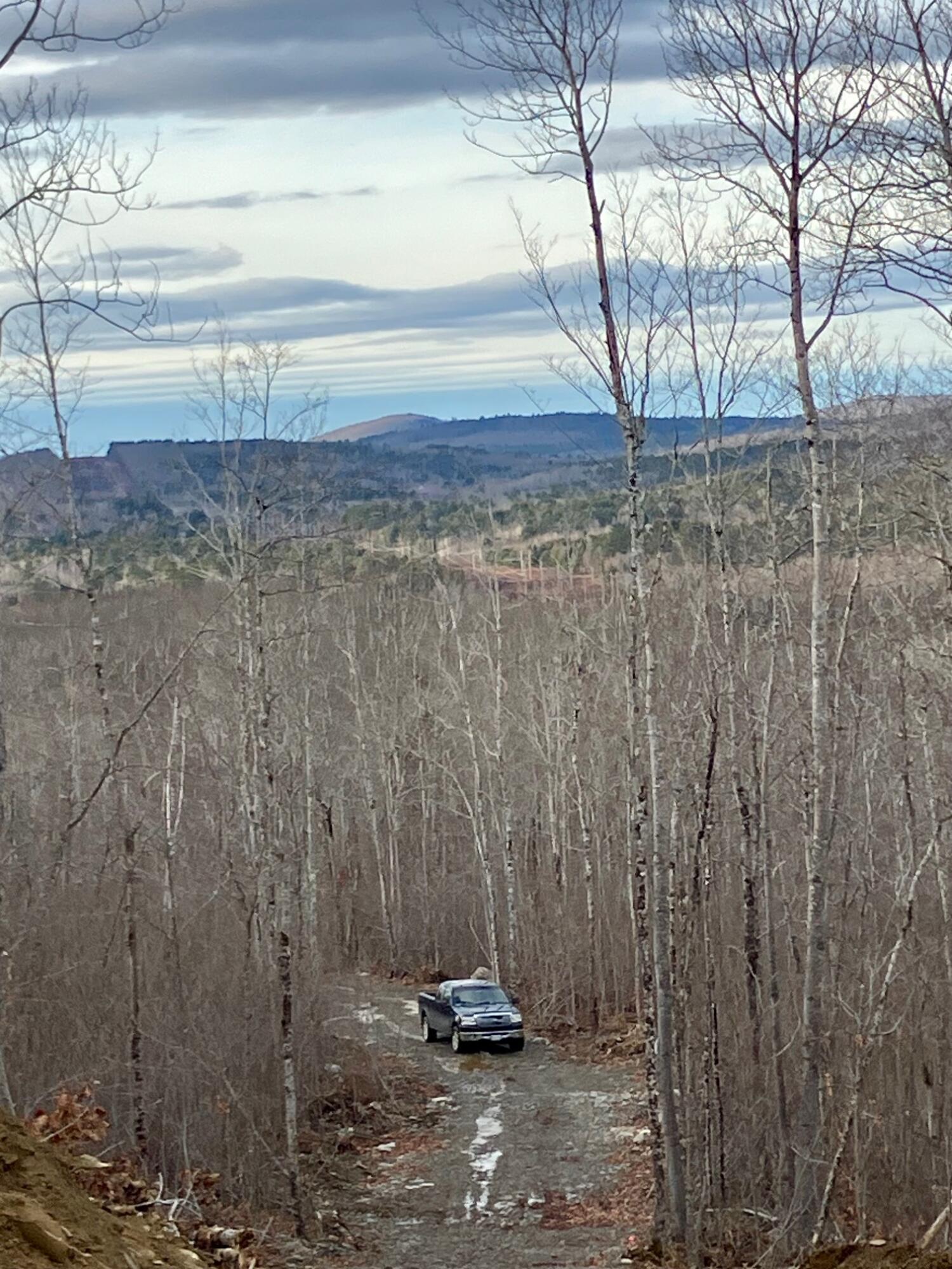 0 Chandler Road Monroe, ME 04951 - Photo 7 of 8 IMG_0713