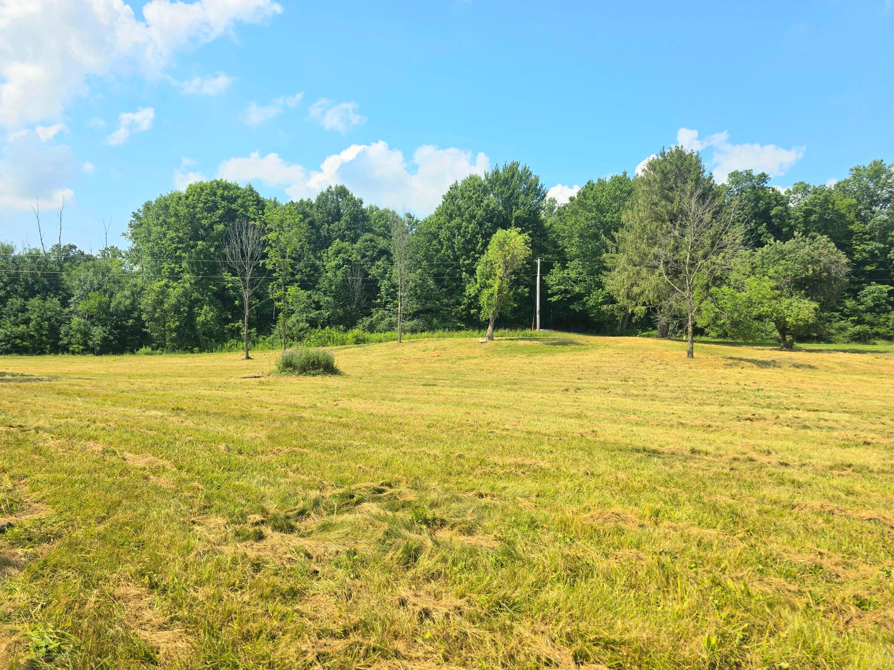 9026 Gregg Road Fredericktown, OH 43019 - Photo 5 of 17 1000062300