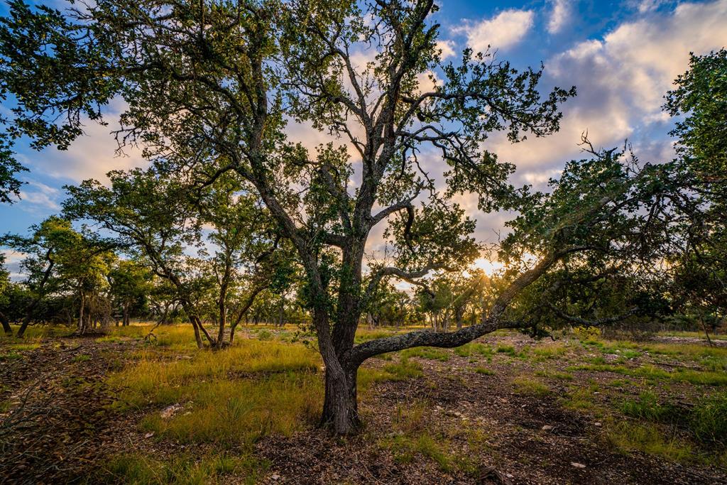 Lot 55 Reservation Road, Unit 55 Harper, TX 78631 - Photo 1 of 4 Main View