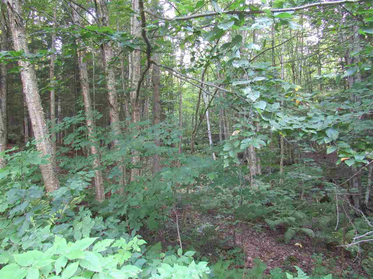 1281 Lake Road Newport, VT 05855 - Photo 11 of 36 Gallery Image 11