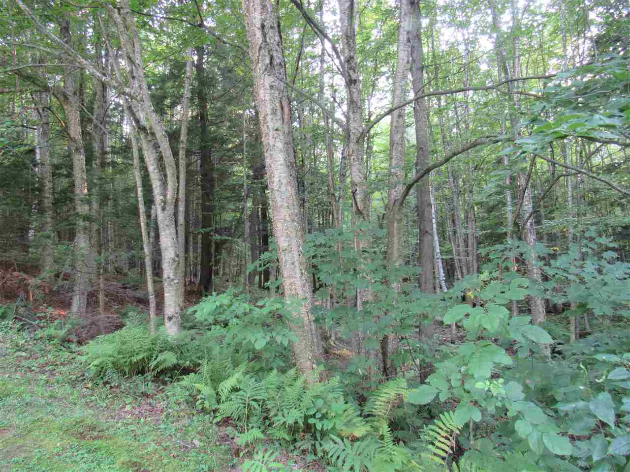 1281 Lake Road Newport, VT 05855 - Photo 12 of 36 Gallery Image 12