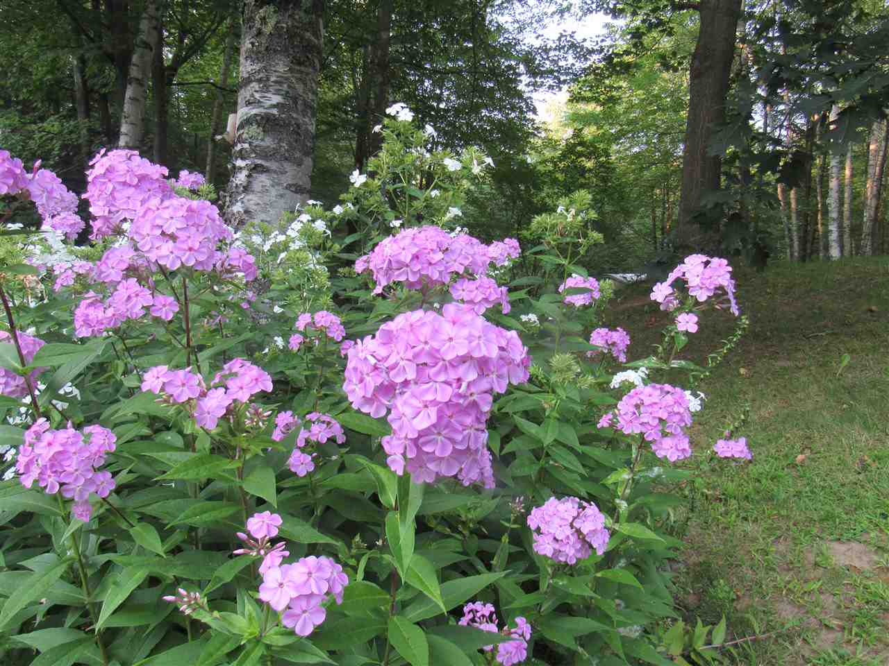 1281 Lake Road Newport, VT 05855 - Photo 13 of 36 Gallery Image 13