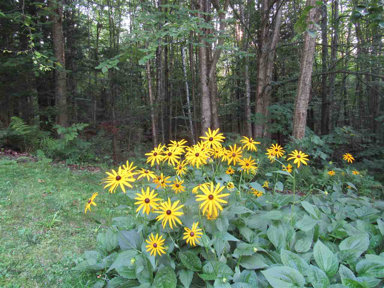 1281 Lake Road Newport, VT 05855 - Photo 14 of 36 Gallery Image 14
