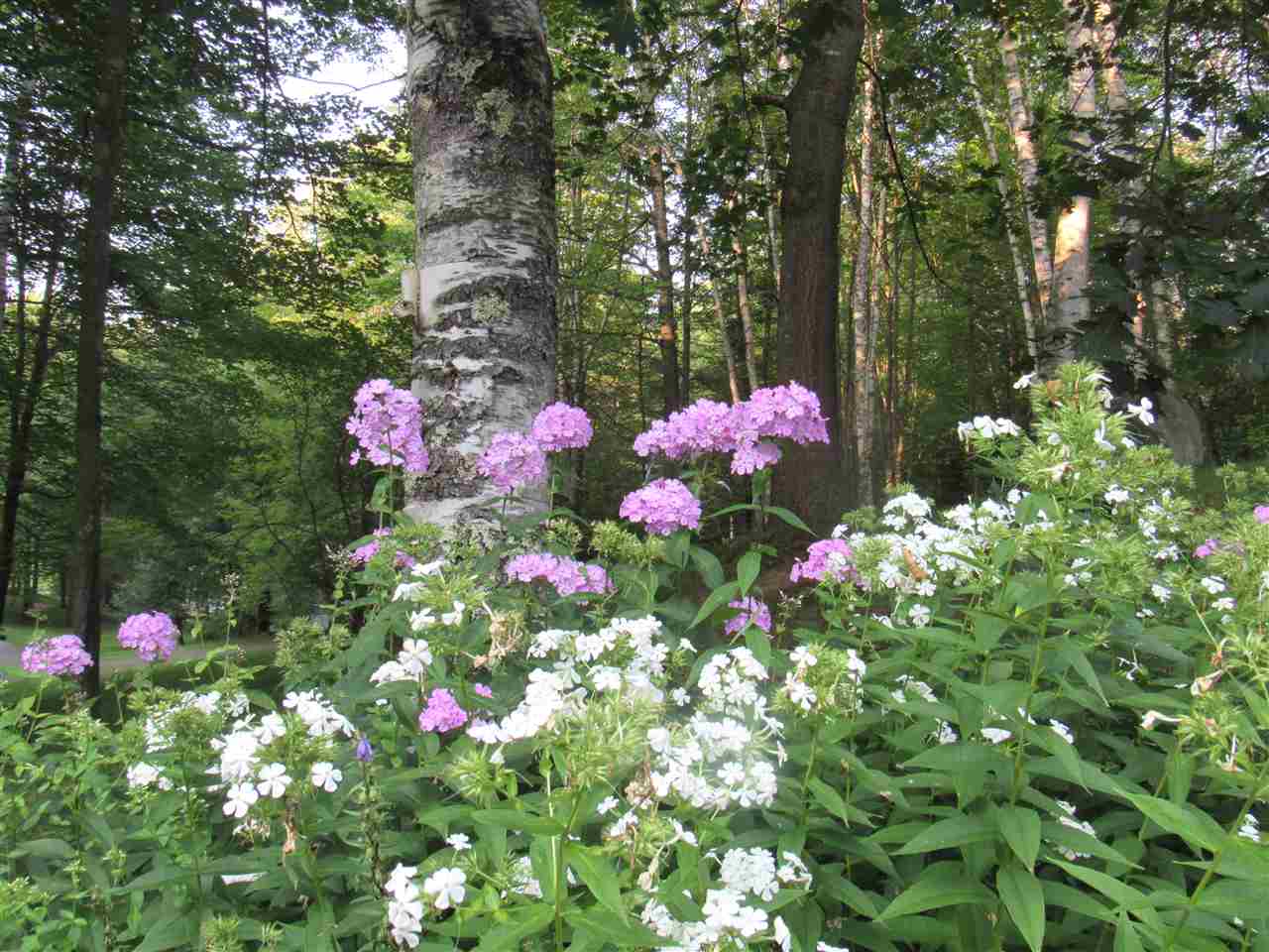1281 Lake Road Newport, VT 05855 - Photo 15 of 36 Gallery Image 15