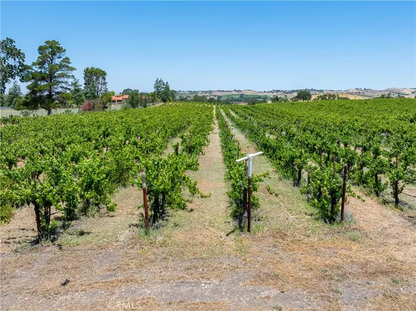 $1,895,000 | 175 White Hawk Lane, Templeton, CA 93465