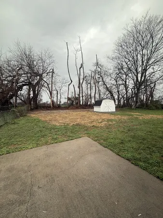 a view of a field with trees in the background