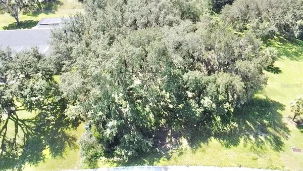 a view of a yard