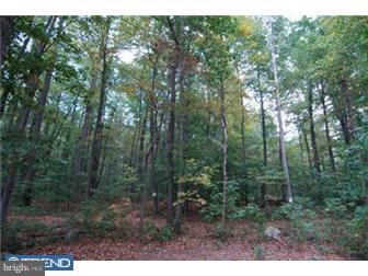 240 Spies Church Road, Unit 119 Reading, PA 19606 - Photo 11 of 12 Gallery Image 11
