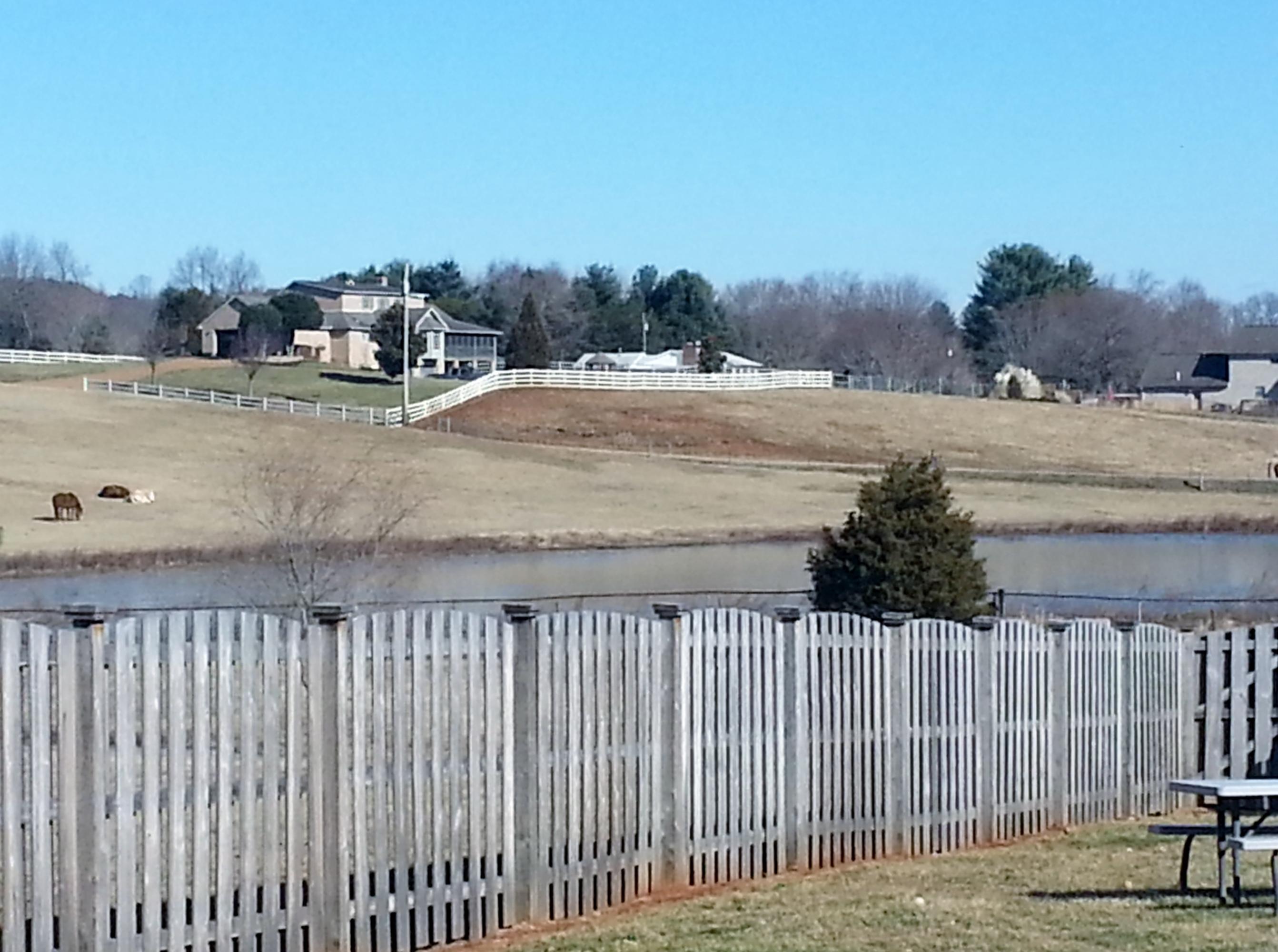 6930 Westerly Winds Road Knoxville, TN 37931 - Photo 26 of 27 View from back yard