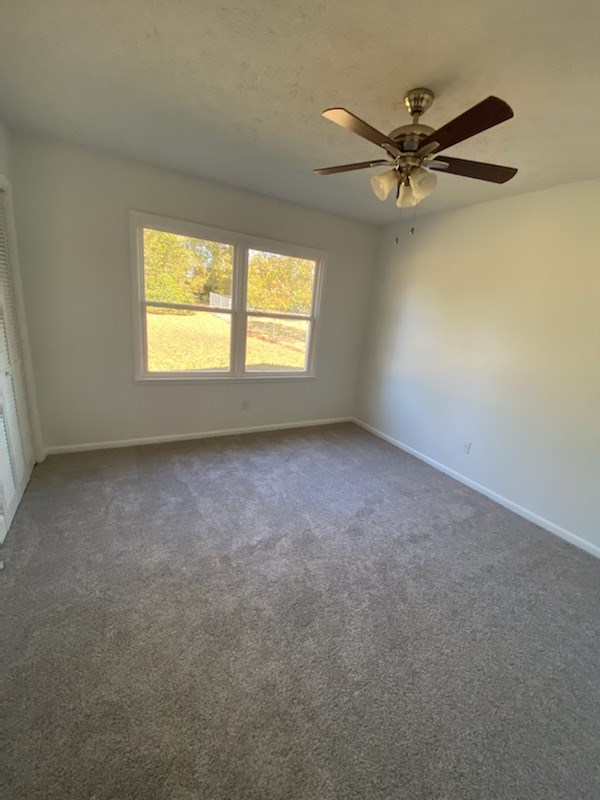 1165 Blf Spgs Road Ashford, AL 36312 - Photo 10 of 15 Gallery Image 10