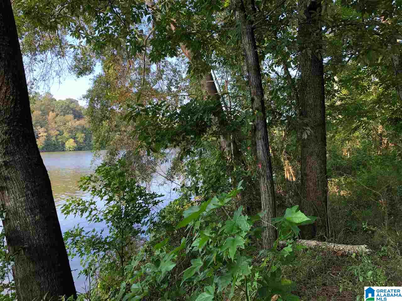 0 Brooks Road Ragland, AL 35131 - Photo 29 of 49