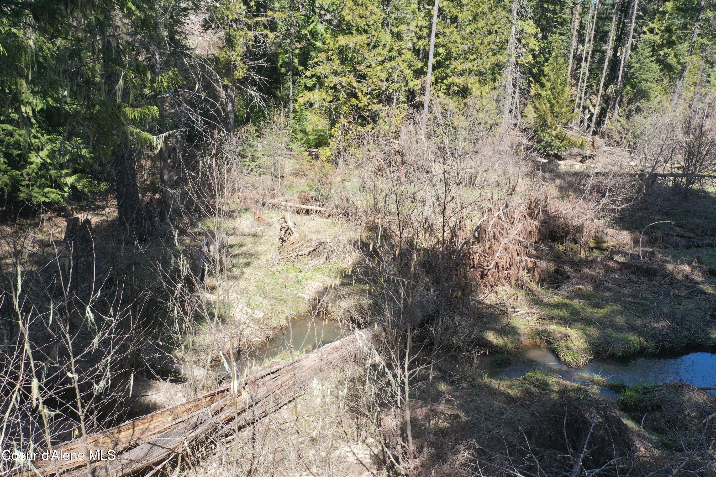 Nka Sanders Road St. Maries, ID 83861 - Photo 3 of 19 DJI_0709
