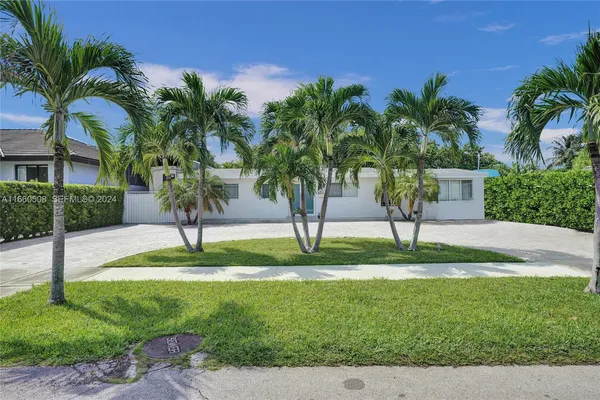 a view of backyard with palm trees