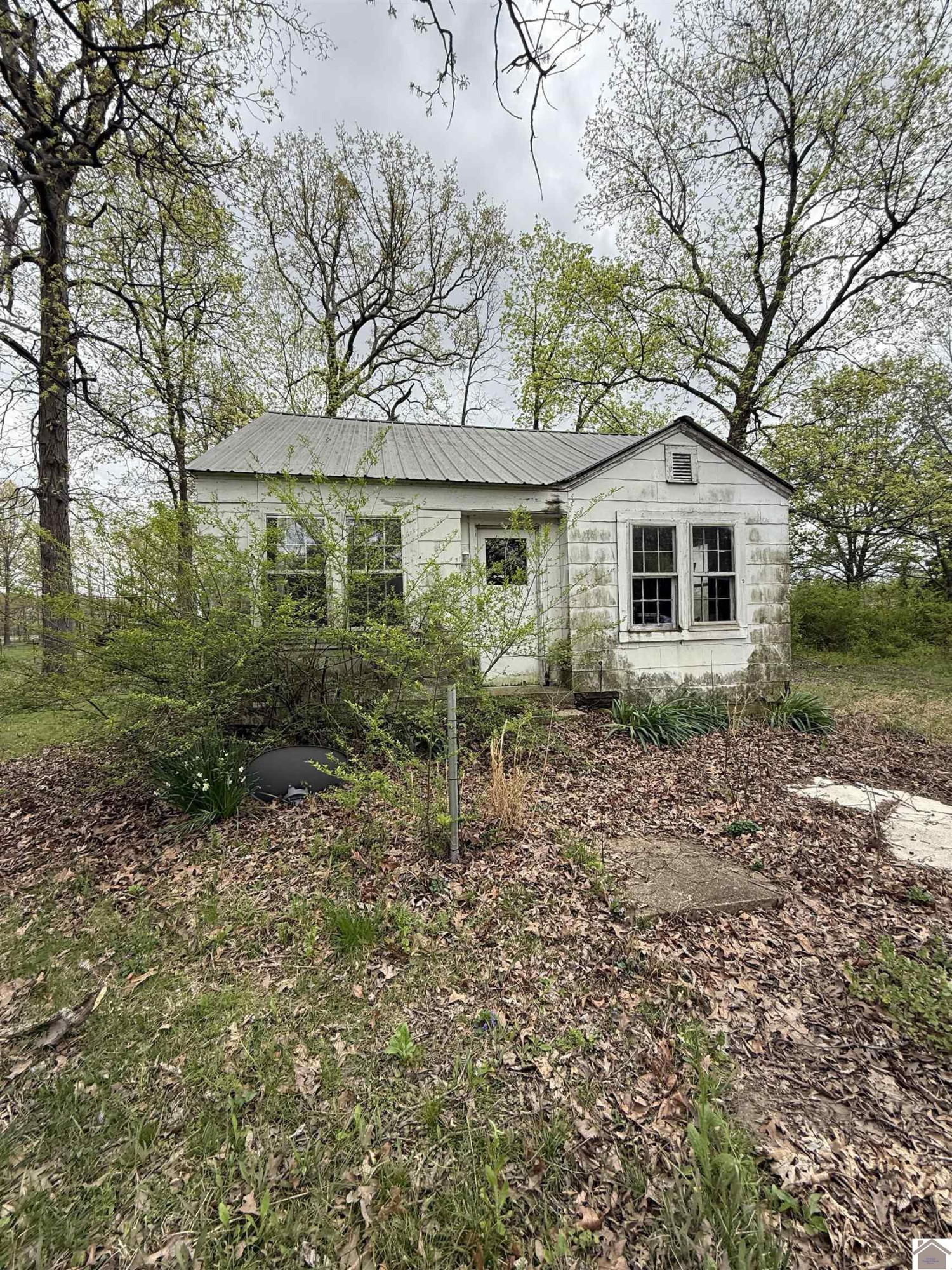 7671 Ste Route Murray, KY 42071 - Photo 1 of 8 Photo 1