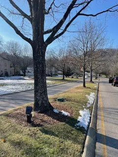 $350,000 | 400 Oakleigh Hill, Nashville, TN 37215