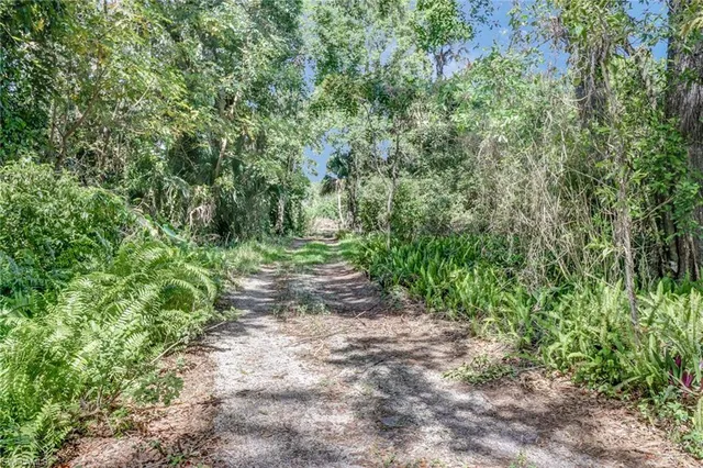 a view of outdoor space with trees all around