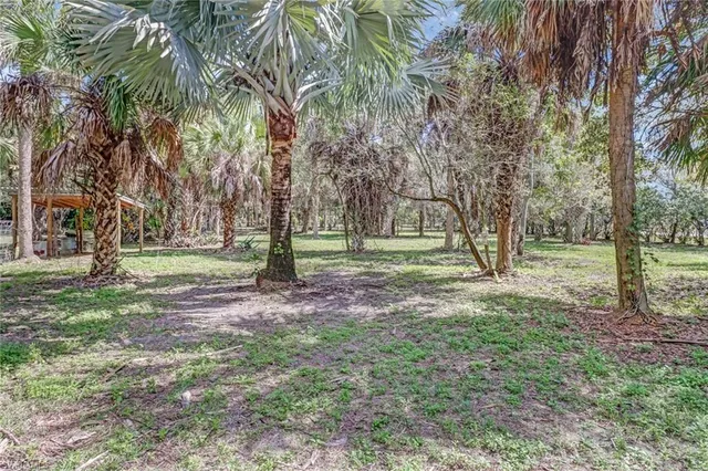 a view of outdoor space with trees