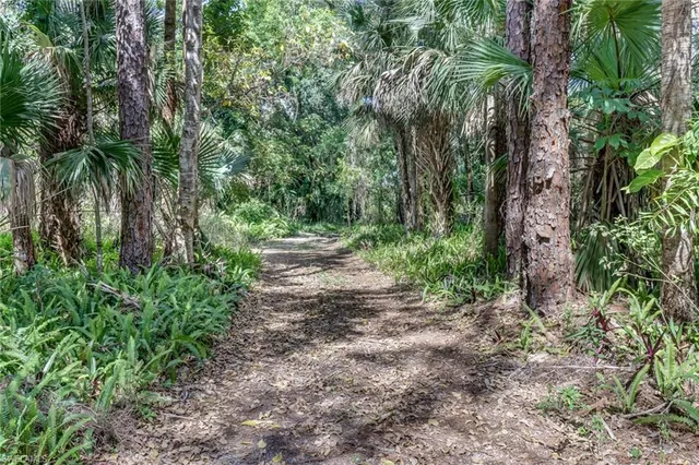 a view of outdoor space and trees