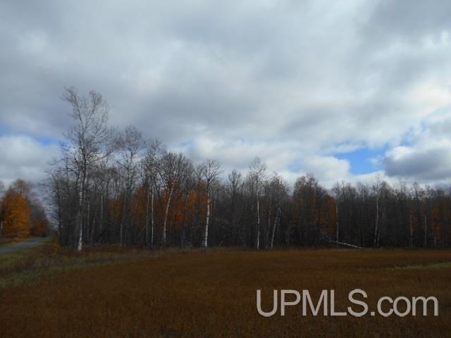 Tbd Dream Lake Road Florence, WI 54121 - Photo 5 of 10