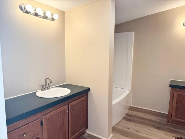 a bathroom with a sink and a mirror
