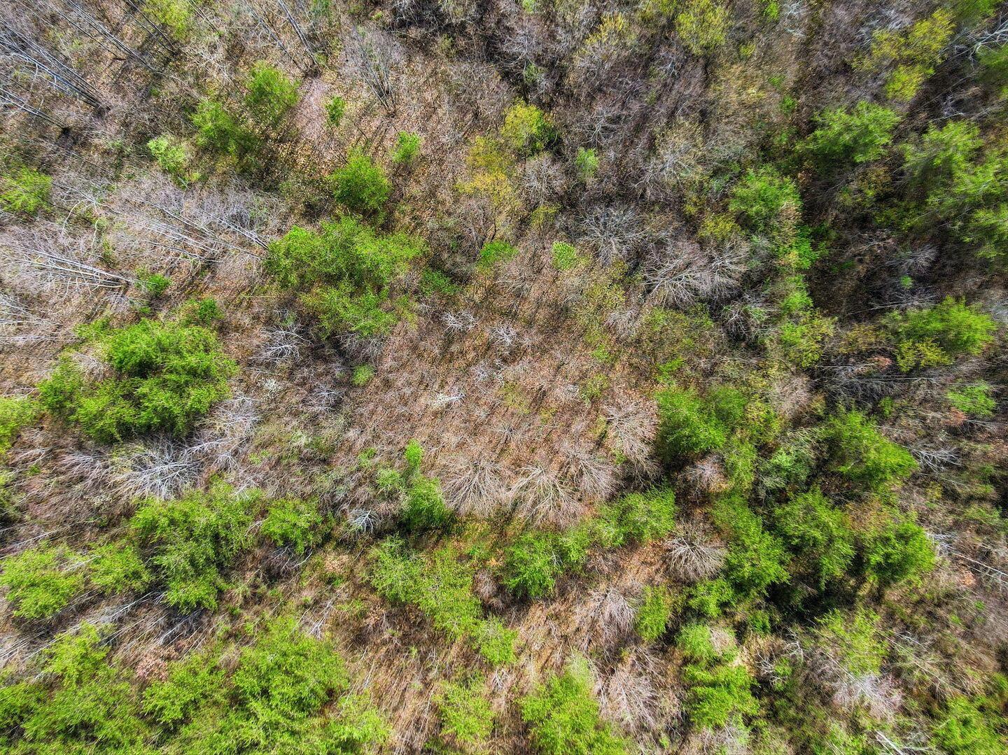 0 Roberts Road Jackson, OH 45640 - Photo 35 of 42 35-web-or-mls-DJI_0569