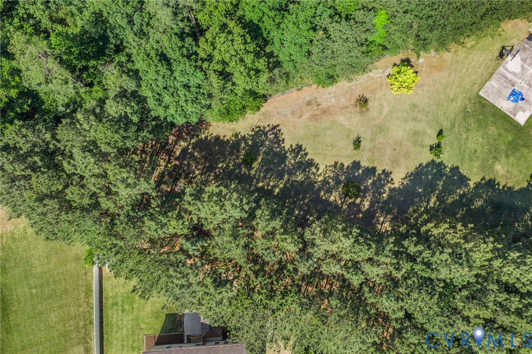 3120 Denise Road Petersburg, VA 23805 - Photo 16 of 51 Expansive treed perimeter providing natural screen