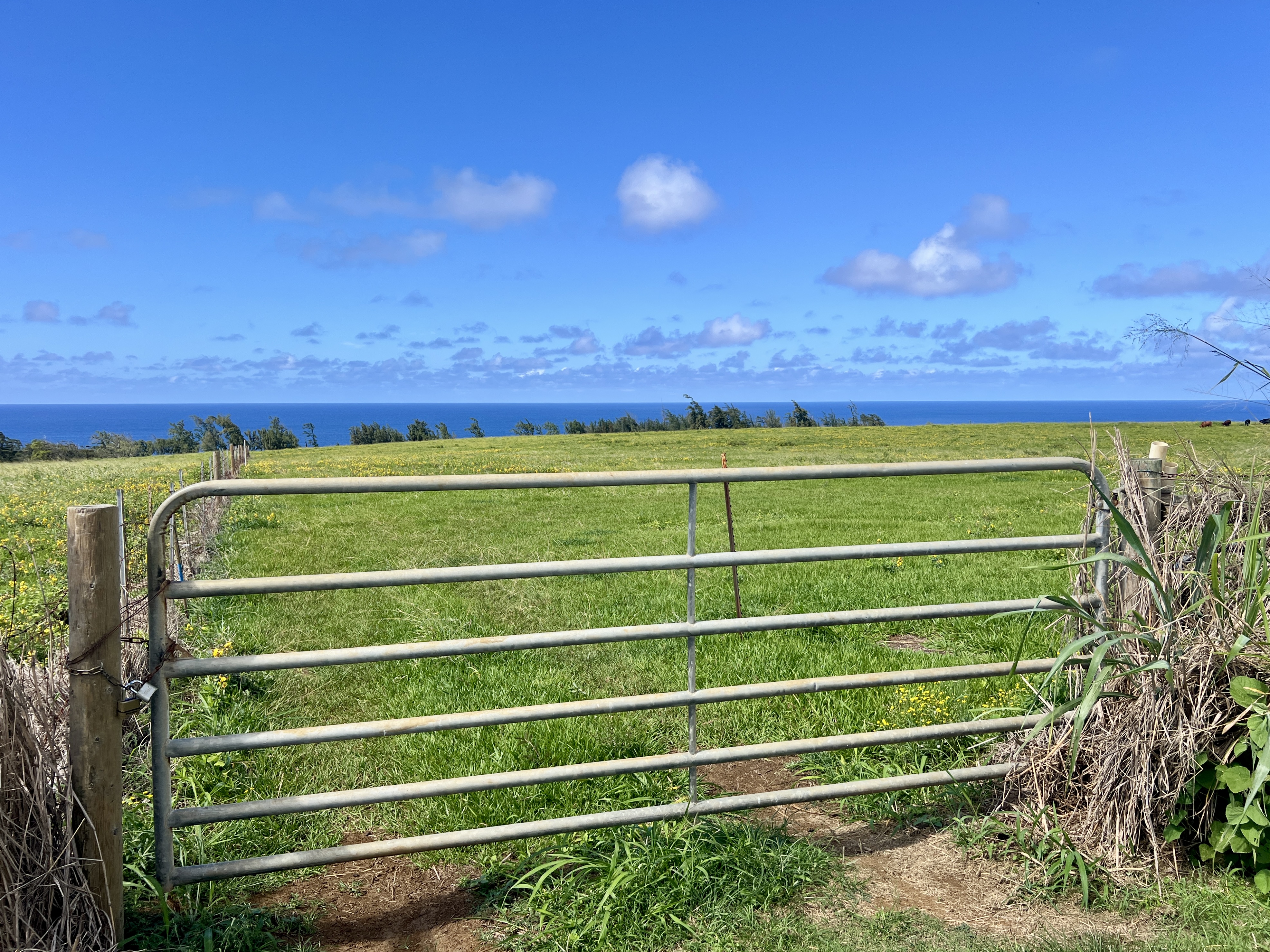 1 Uli Road Kapaau, HI 96755 - Photo 3 of 14