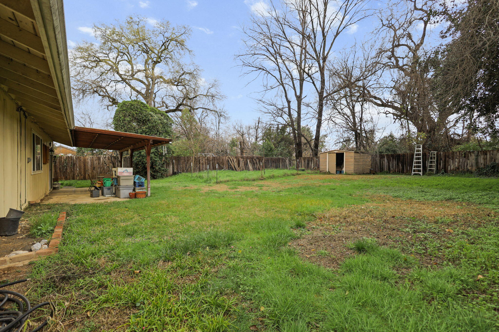6725 Reflection Street Redding, CA 96001 - Photo 16 of 20 a view of a park with large trees