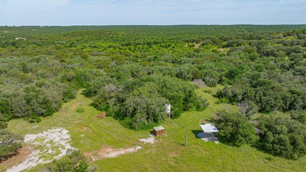 136 Moose Trail Ranger, TX 76470 - Photo 16 of 40 a view of yard with green space
