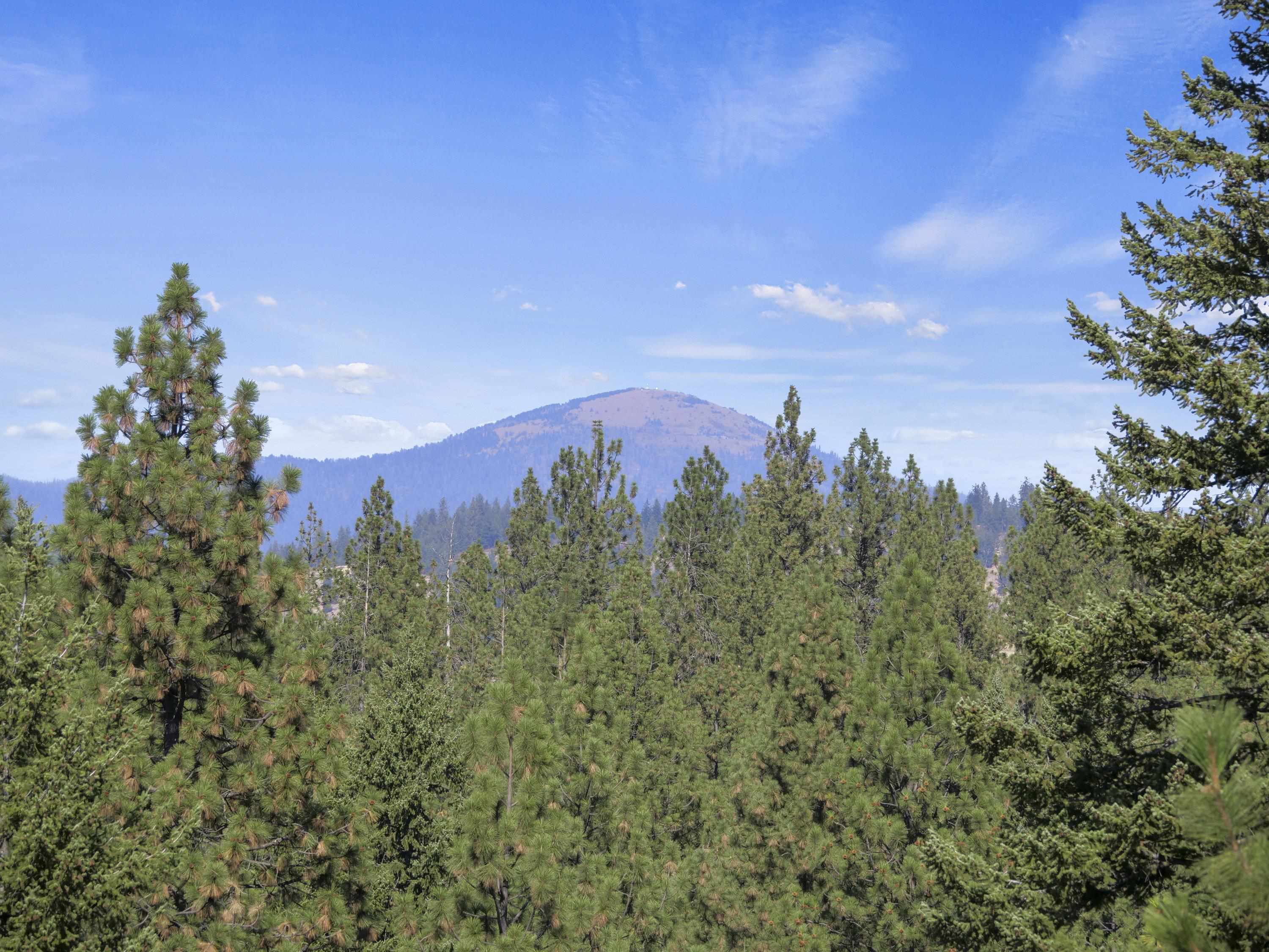 16315 East Temple Road Spokane, WA 99217 - Photo 39 of 42