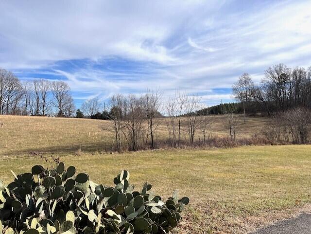 1095 Rucker Road Moneta, VA 24121 - Photo 19 of 28 thumbnail_IMG_7697