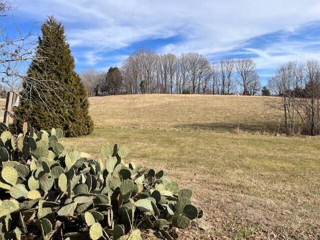 1095 Rucker Road Moneta, VA 24121 - Photo 20 of 28 thumbnail_IMG_7698