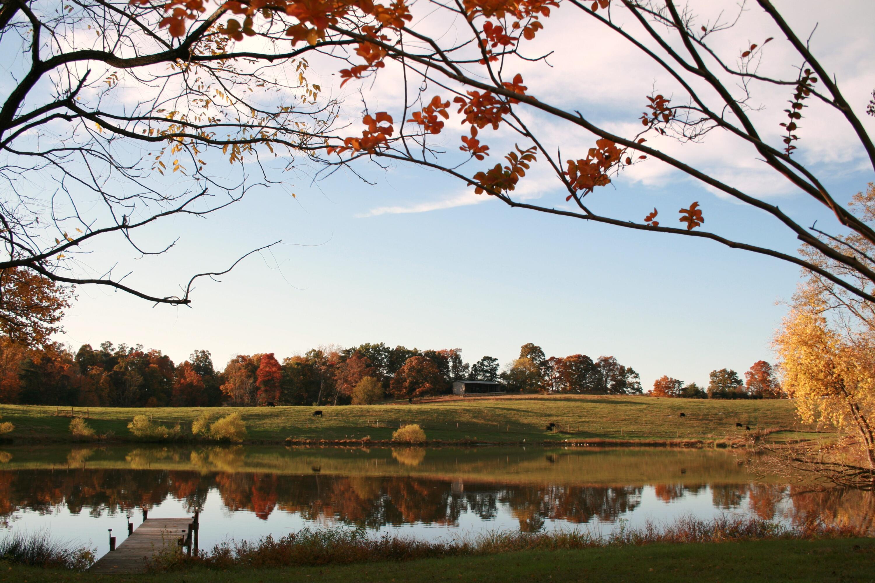 1095 rucker pond