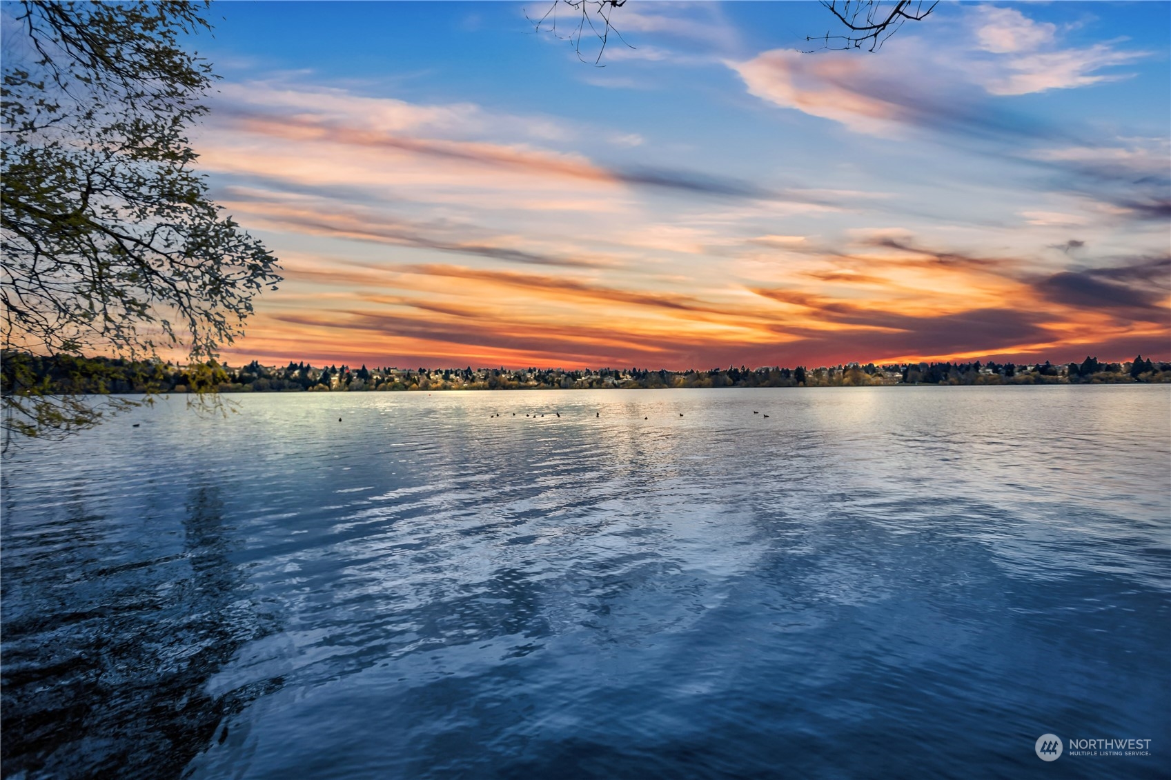 2114 North 65th Street Seattle, WA 98103 - Photo 39 of 40 a view of an ocean and beach