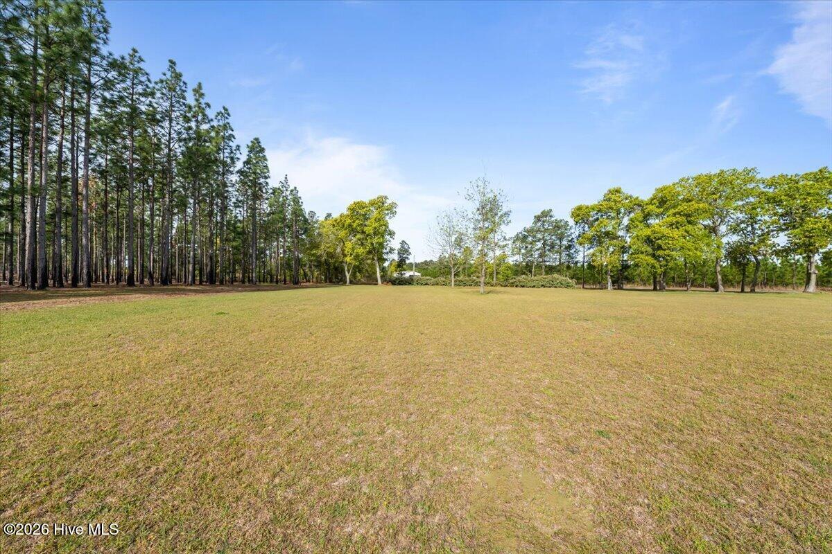 1292 Boyd Lake Road Hamlet, NC 28345 - Photo 53 of 61 15-DSC09600