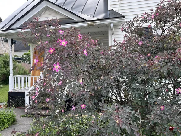 $312,000 | 22 French Street, Barre, VT 05641