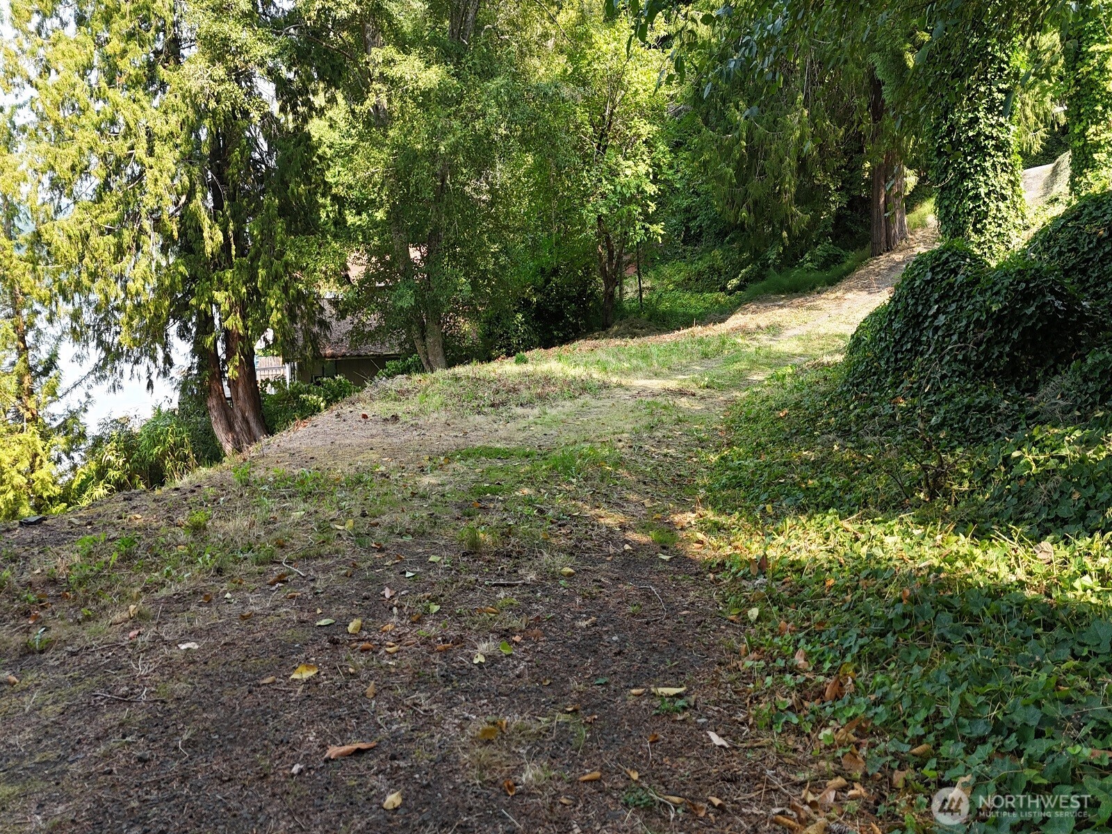 17871 Highway 106 Belfair, WA 98528 - Photo 8 of 18 a view of a forest with trees in the background