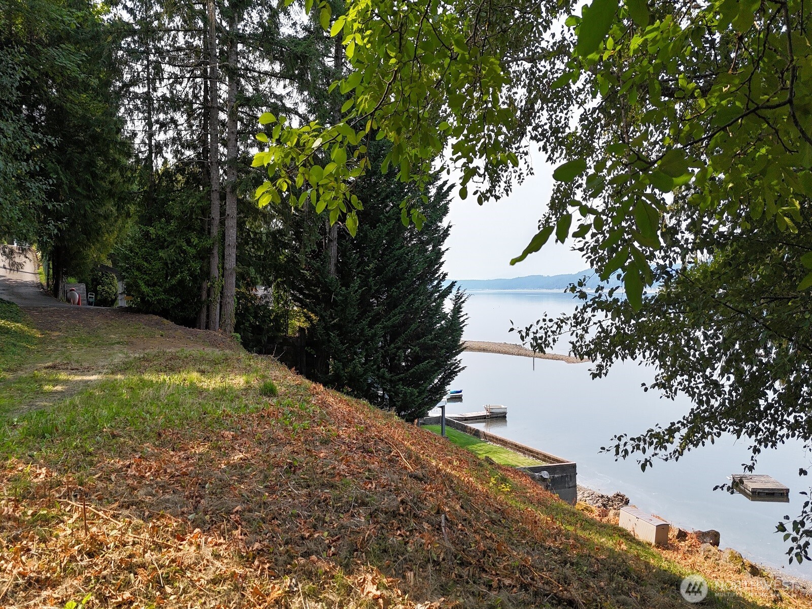 17871 Highway 106 Belfair, WA 98528 - Photo 9 of 18 a view of a yard with large trees