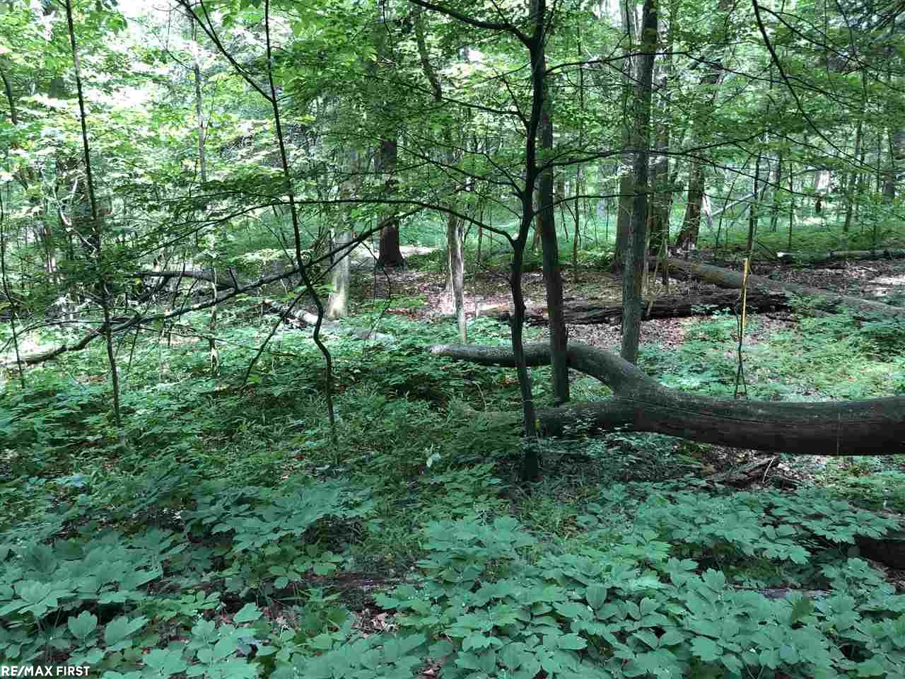 4671 Cribbins Road Avoca, MI 48006 - Photo 67 of 79