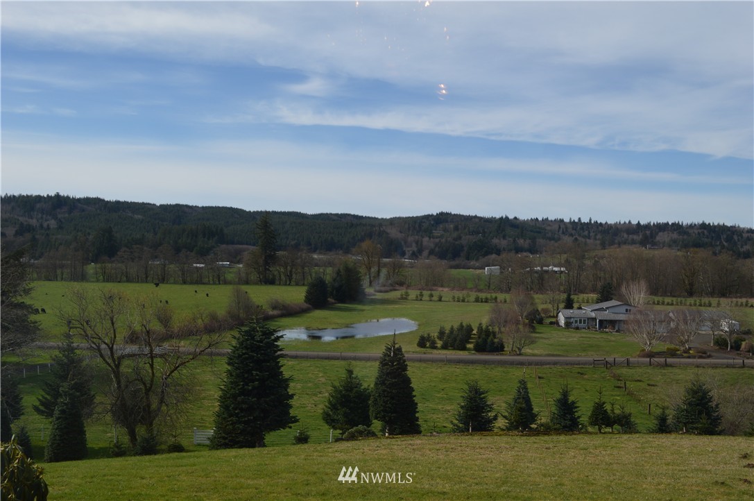 86 Lilly Wheaton Road Raymond, WA 98577 - Photo 2 of 19 Gallery Image 2