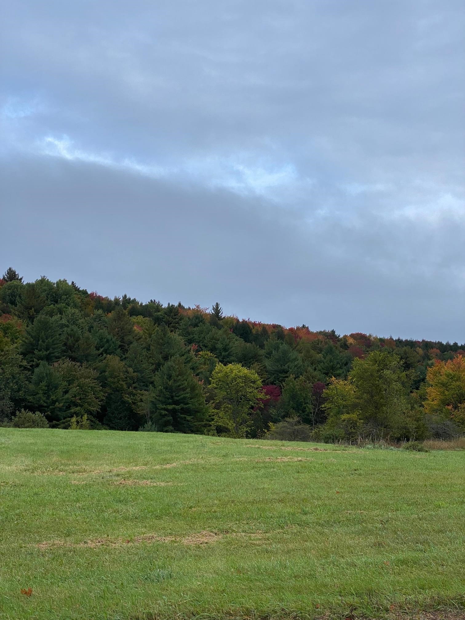 Lot 1 Sheldon Woods Road Sheldon, VT 05483 - Photo 1 of 15
