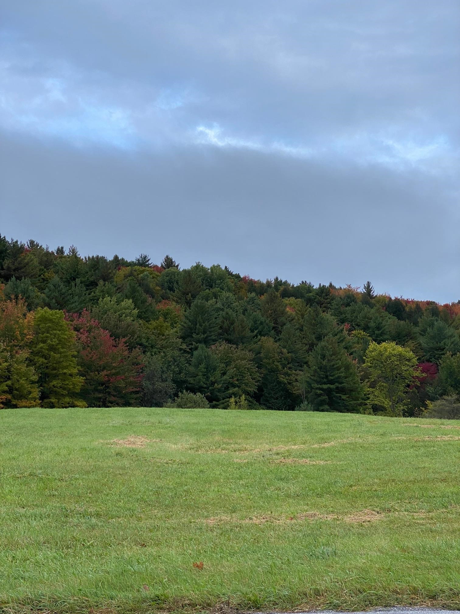 Lot 1 Sheldon Woods Road Sheldon, VT 05483 - Photo 2 of 15
