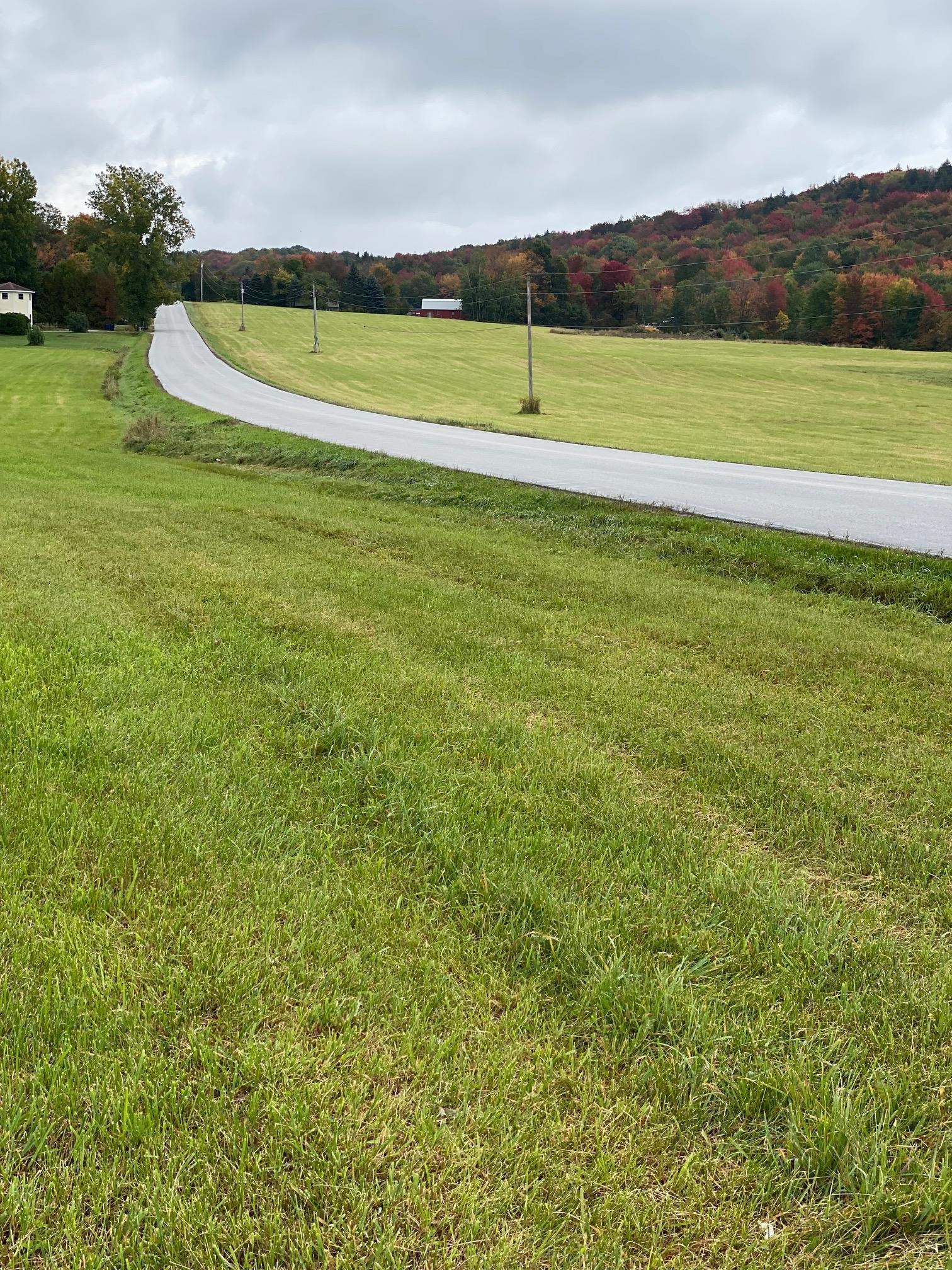 Lot 1 Sheldon Woods Road Sheldon, VT 05483 - Photo 11 of 15