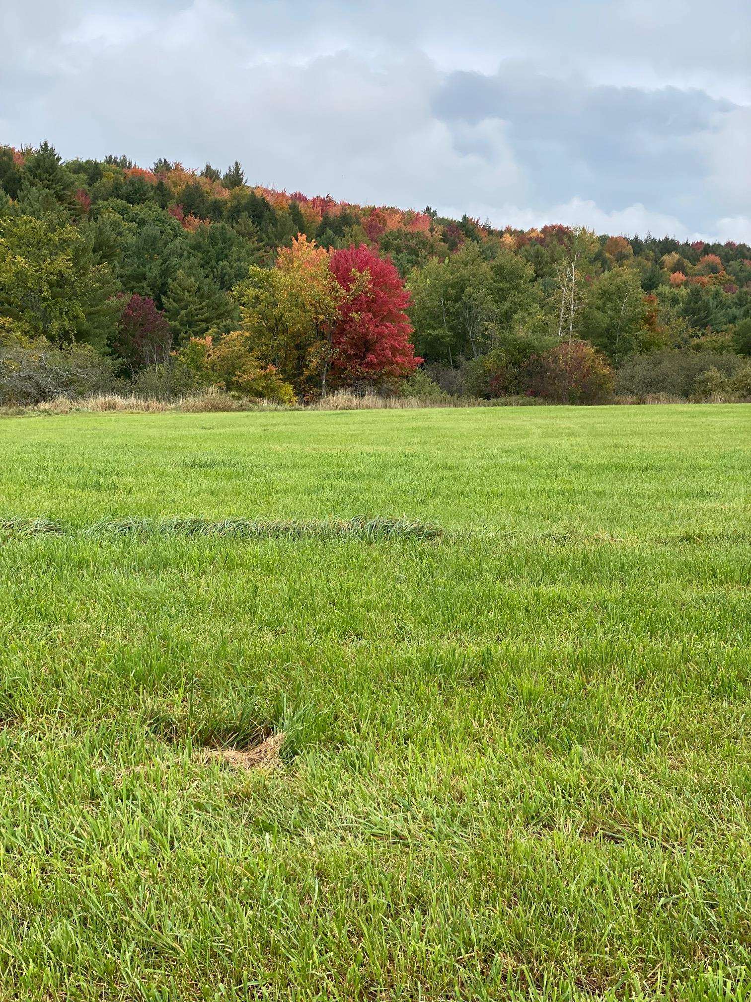 Lot 1 Sheldon Woods Road Sheldon, VT 05483 - Photo 12 of 15